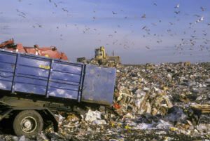 פינוי פסולת מחיר